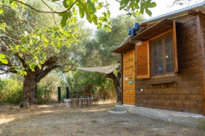 The poet's house